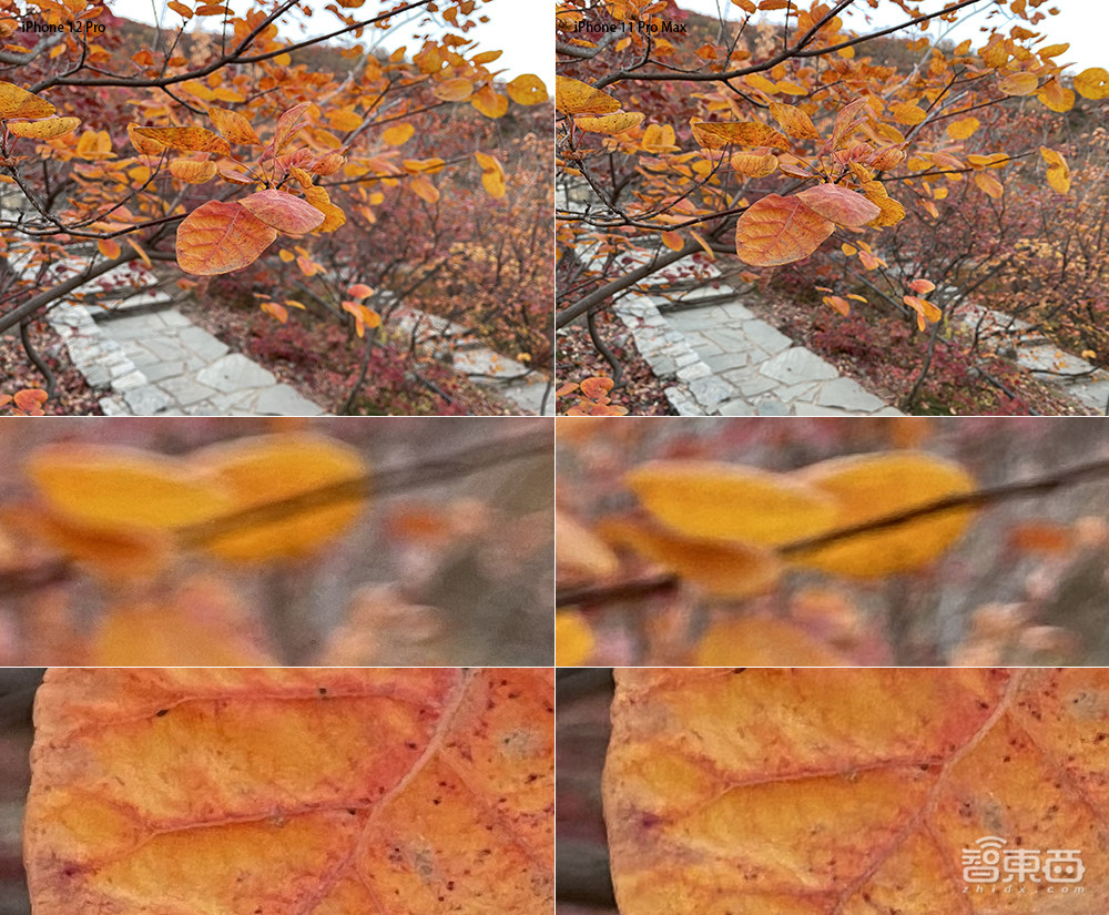 蘋果手機拍照要秒單反？iPhone 12 Pro一周深度體驗