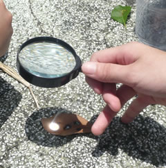 WiFi穿墙手册:解读天线、dbi、发射功率和无线信号的关系