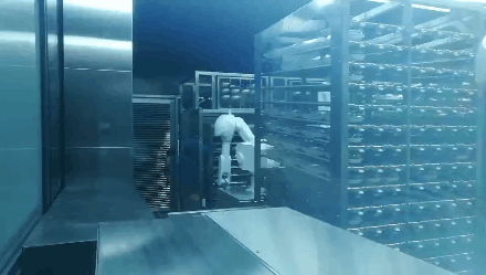 全年最火的三家餐厅!秘密竟是机器人服务员