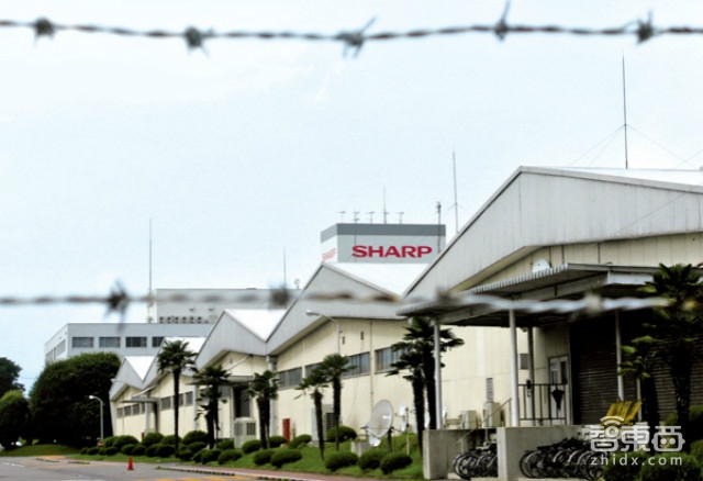 中国or日本 谁能拯救“落魄”的夏普?