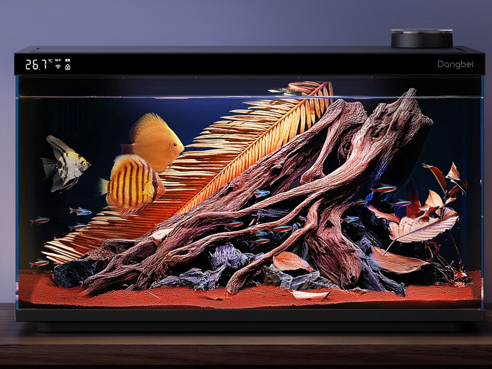 暴走IFA展会带来八大看点！宇树机器人表演秀翻老外，国产AI眼镜攻陷欧洲，“电动老头乐”也来了