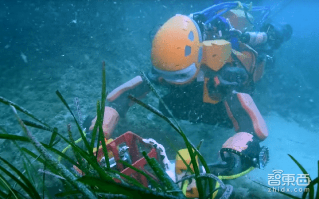 千亿美元新蓝海:机器人养鱼了解一下?