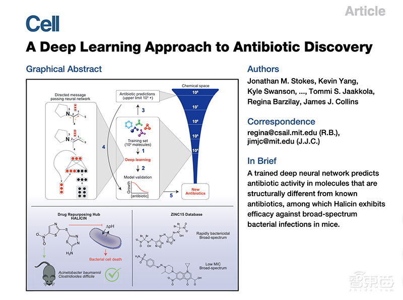 重磅!AI发现超级抗生素,能干掉多种致病细菌,从1.07亿分子筛出