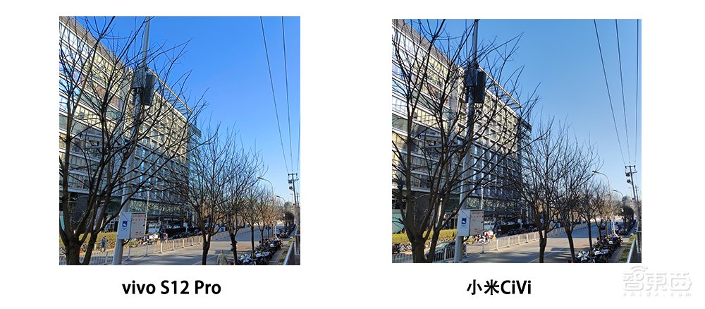 vivo S12 Pro深度体验:拍照、修图、调色摄影三大步骤,只用一部手机搞定