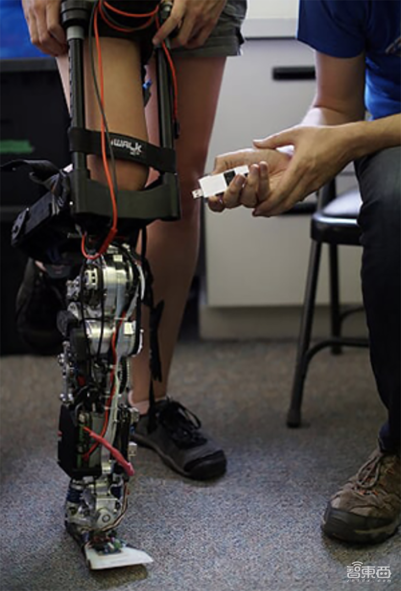 768颗芯片、1亿个神经元！电脑追上小型哺乳动物脑容量，迄今最强神经拟态系统诞生