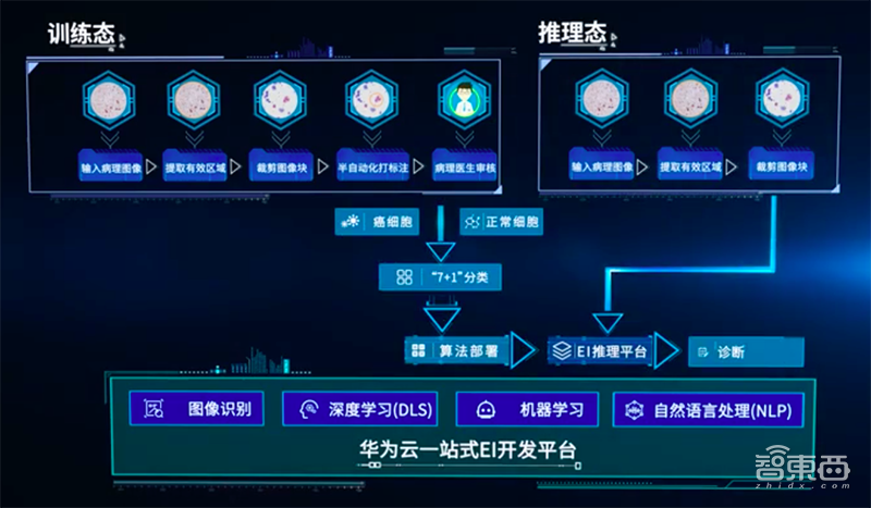 AI造福女性显身手!看华为云的AI防癌黑科技牛在哪