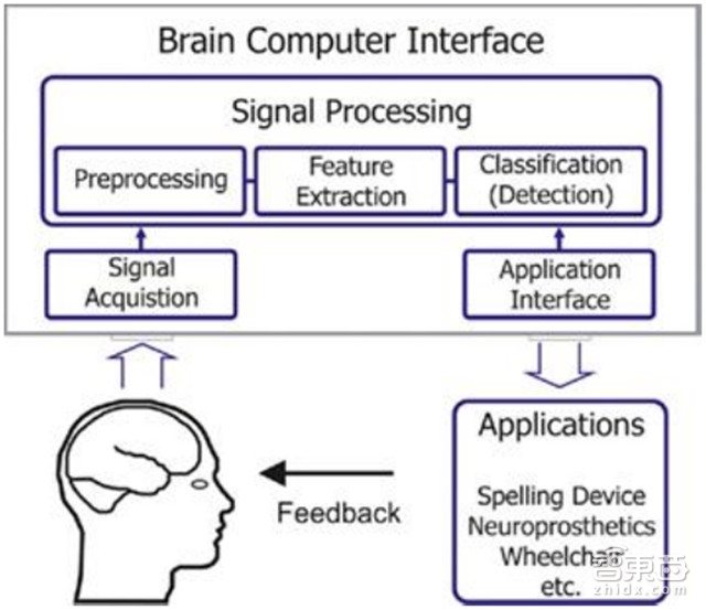 报告探秘人机合体真相 人脑强大堪比外星人【附下载】|智东西内参