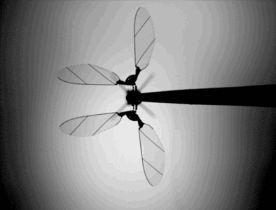 3国4大微型机器人盘点,最轻重量仅259毫克