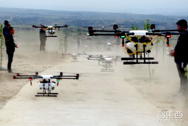 特写:无人机下乡三年 海归植保队征服5万亩果园