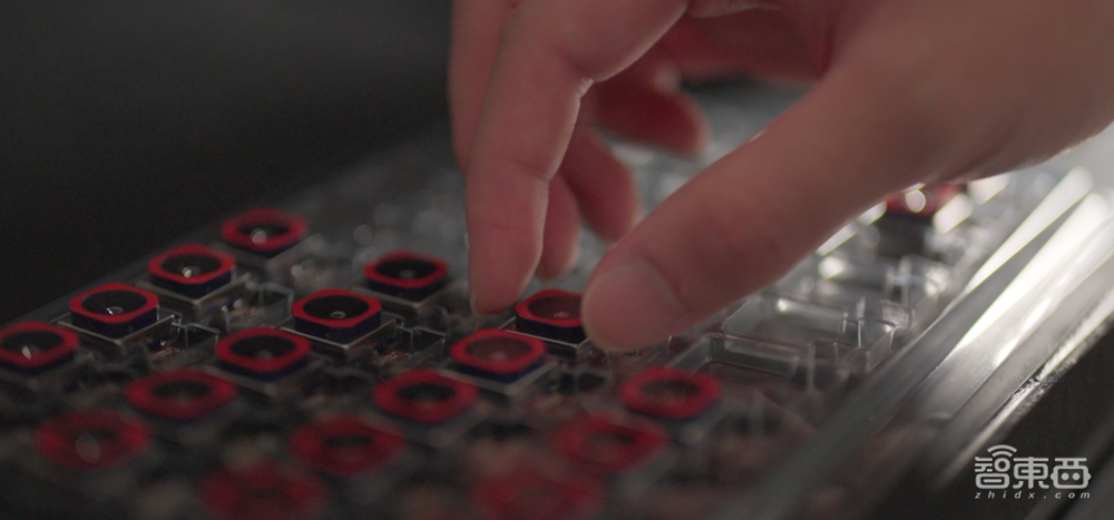 联合实验室首次揭秘！“让普通人拍大片”这事，vivo一做就是十年