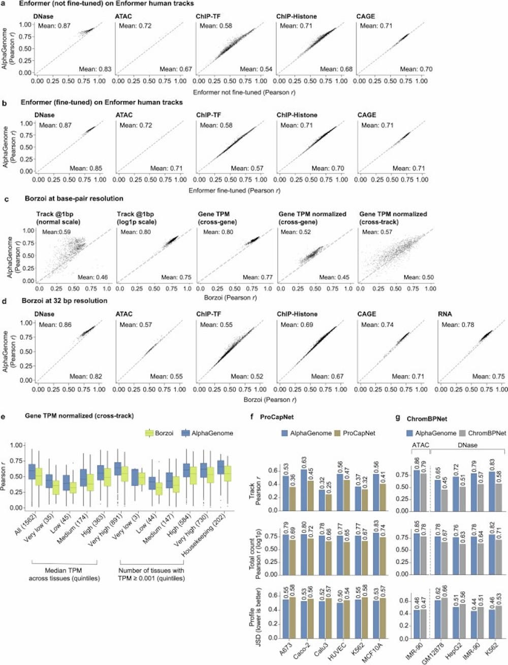 历史性一刻!人类基因密码被谷歌AI破解,DeepMind新作登Nature