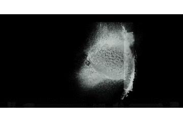 一眨眼,第十代iPhone来了!多了一只眼,少了一个眼儿!(干货全记录)