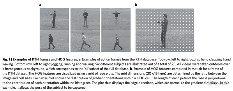 光子系统跑递归神经网络!法国研究人员研发新系统识别人类行为,准确率达100%