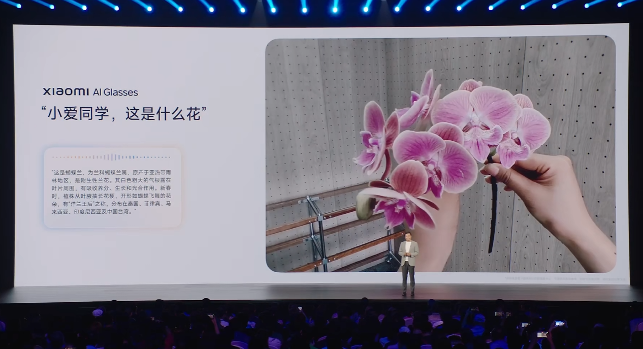 1999,小米AI眼镜“交个朋友”