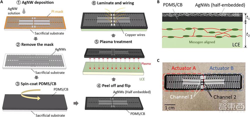 “毛毛虫”机器人登上Science子刊，可前后爬行，未来或能用于救援