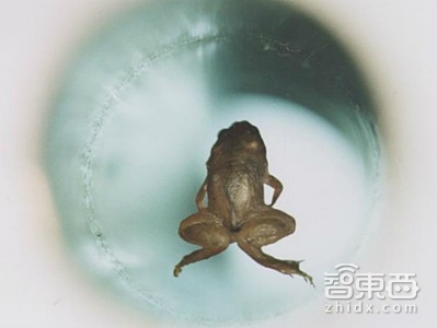 盘点:七款来自科幻小说的智能硬件