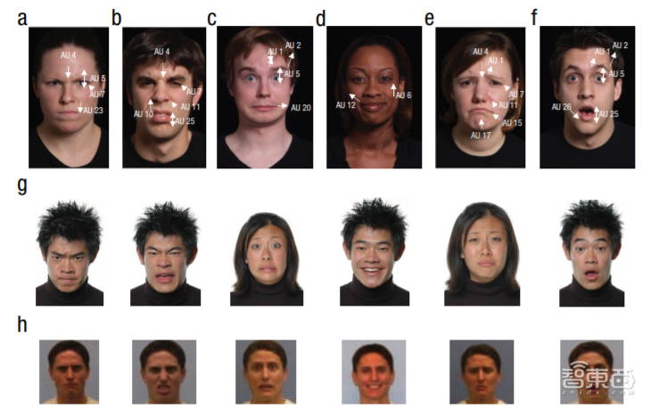 人脸识别情绪不靠谱！美国专家：微软、谷歌的情感识别算法或存硬伤