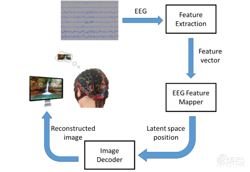 Ai读心术 新突破 俄罗斯ai通过脑波还原图像 准确度90 附视频 智东西
