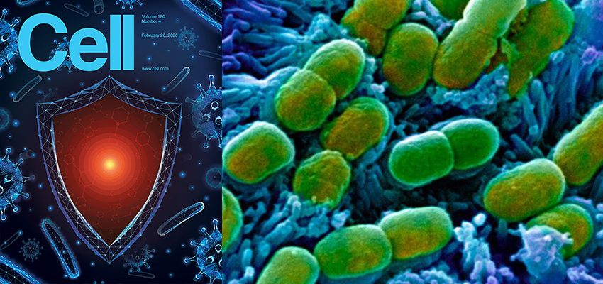 重磅！AI发现超级抗生素，能干掉多种致病细菌，从1.07亿分子筛出