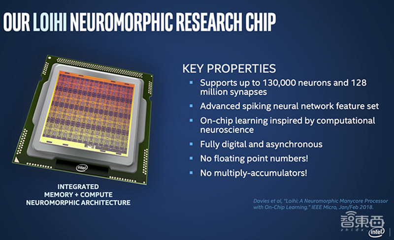 768颗芯片、1亿个神经元！电脑追上小型哺乳动物脑容量，迄今最强神经拟态系统诞生