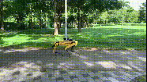 新加坡公园惊现网红机器狗！控制限流，提醒保持安全距离
