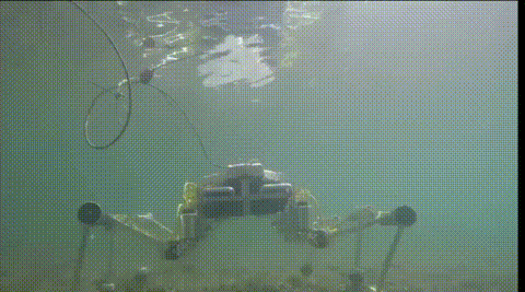六足龙虾机器人成海底“清洁工”，可下潜200米续航16小时