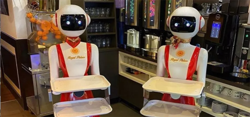 荷兰中餐厅老板雇佣机器人服务员，会迎宾上菜还会清理桌面