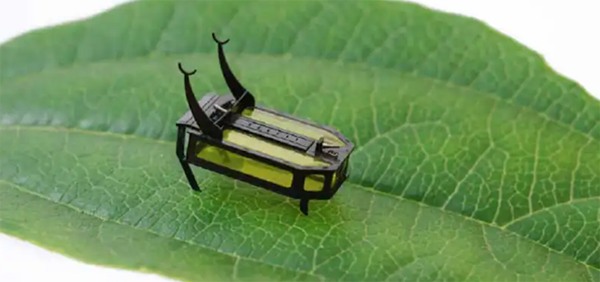 微型机器人里程碑！喝甲醇的“甲虫”登上《Science》子刊封面
