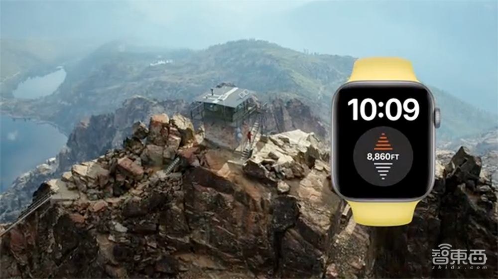 苹果最强芯A14牙膏挤爆！手表首发“小杯”SE版，iPhone 12下月见