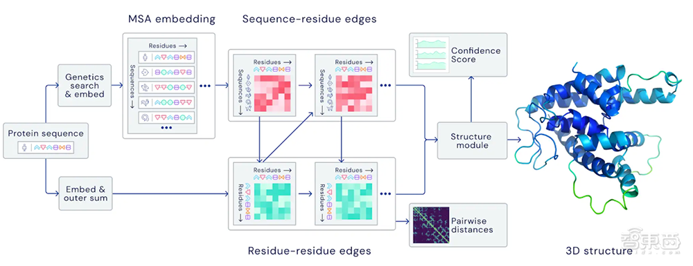 破解生物界50年重大挑战！DeepMind用AI精准预测蛋白质结构