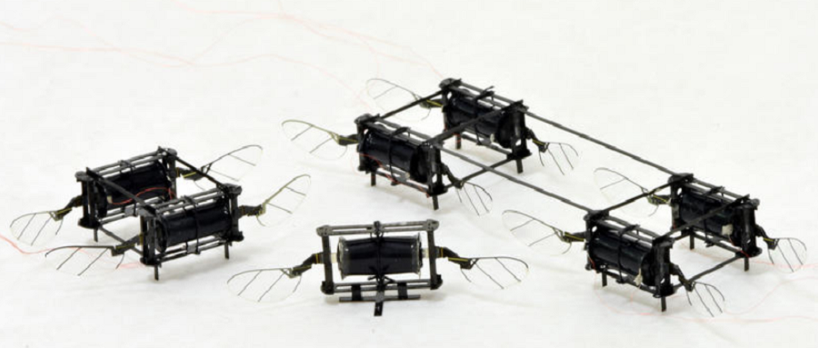 翻滚跳跃不怕撞！MIT研发新型“昆虫”无人机，1秒能扇500次翅膀