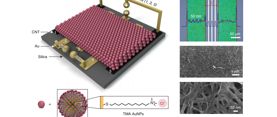 芯片晶体管不用硅！西工大纳米晶体管新研究登Nature子刊