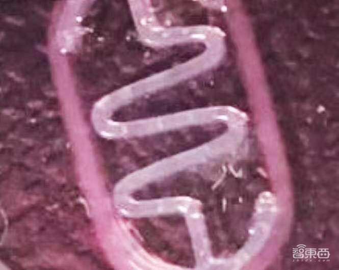 灵活如鱼!机器人配蛇形柔性骨骼,应激下可“窜出”三个身长