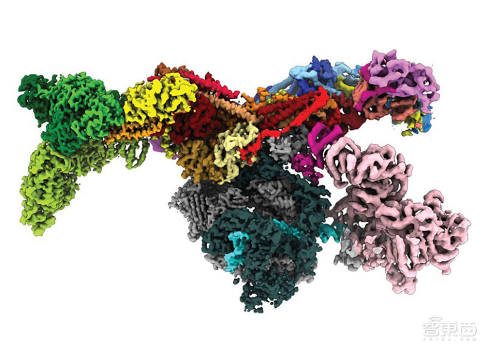 生物史最全“证件照”！DeepMind开放35万种蛋白质结构，超人类知识2倍