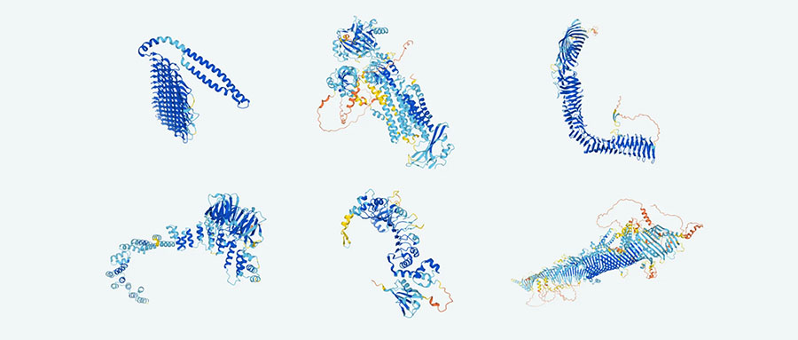 生物史最全“证件照”！DeepMind开放35万种蛋白质结构，超人类知识2倍