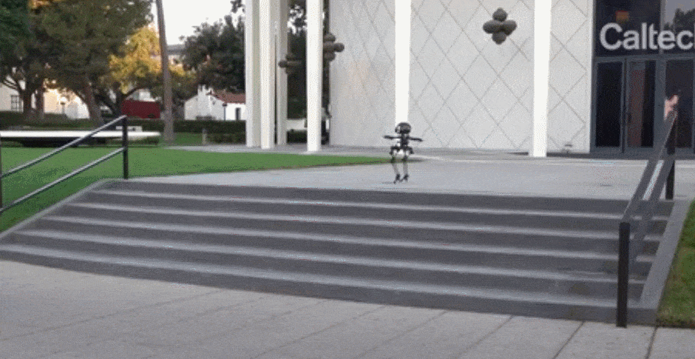 人形机器人成精了！走钢丝玩滑板，还会飞上天，登Science子刊封面