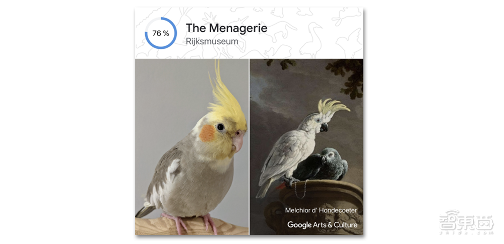 你的宠物也有艺术化身了，谷歌AI新功能上线