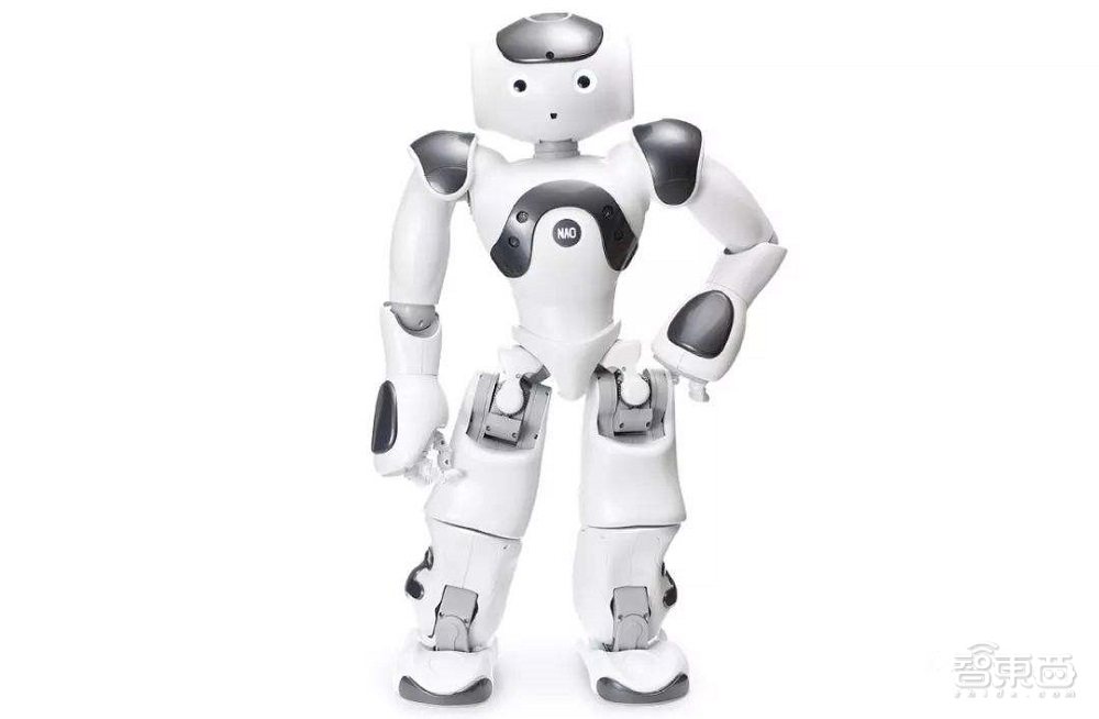 对话软银机器人美国公司总裁，终极揭秘智能清洁机器人市场