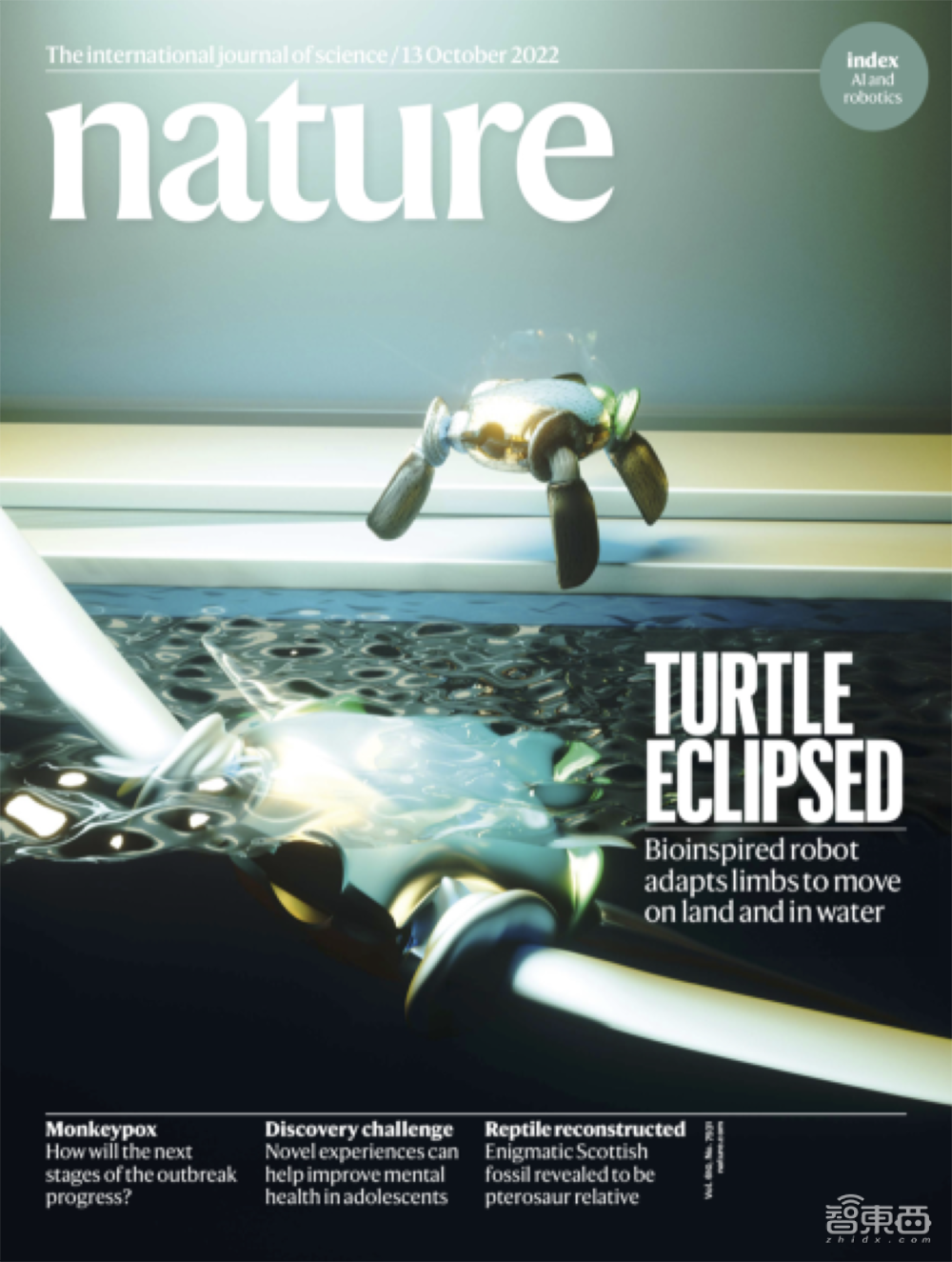两栖机器龟登上Nature封面！结合海龟、陆龟和机器人的各种优势