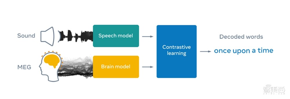 Meta开发AI“读心术”系统，仿真大脑模型，大脑活动直接转文字