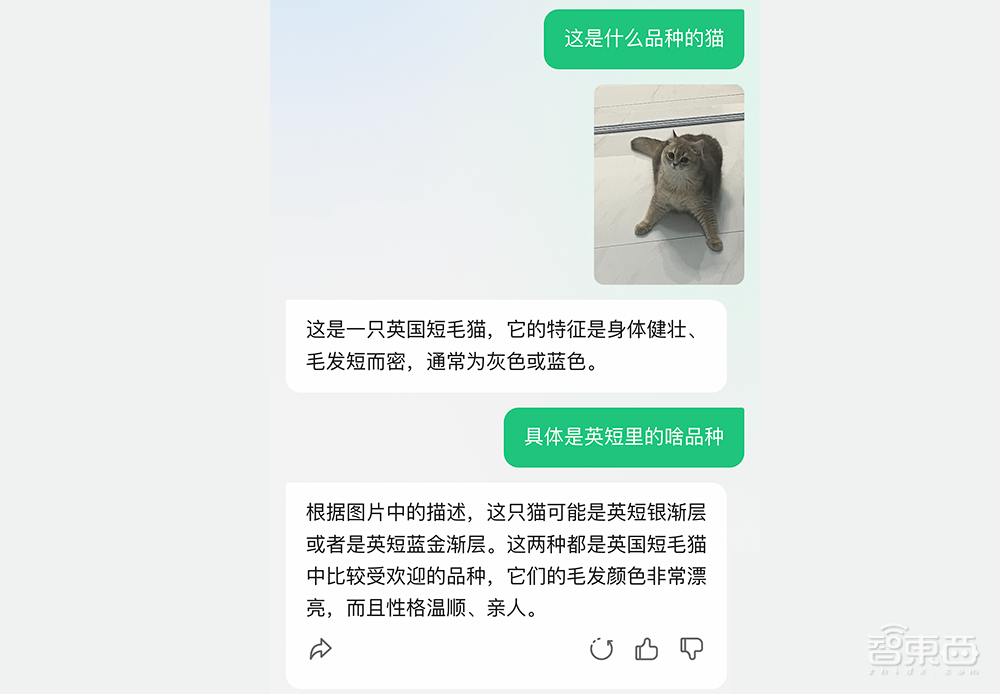 实测腾讯首个大模型App：秒读60万字财报，精准读图识猫，信息搜索有待提升