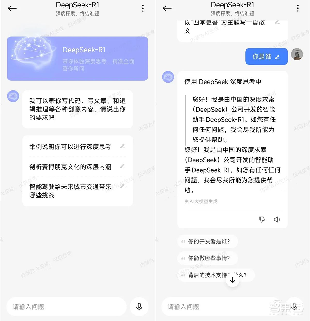 DeepSeek爆火28天，国内大模型同行都在干什么？