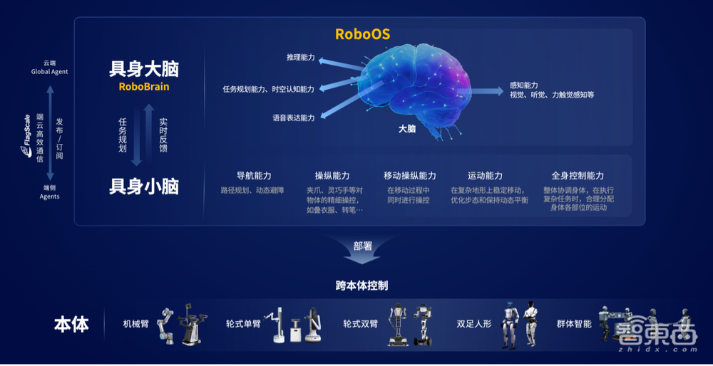迈向群体智能 | 智源发布首个跨本体具身大小脑协作框架与开源具身大脑