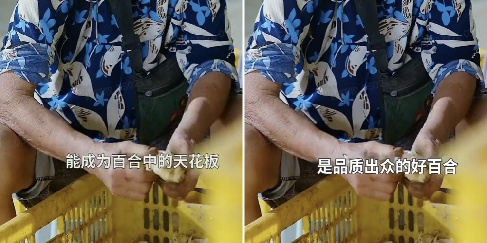 对话Mamoda团队：业内首个DiT-MoE视频生成基座是如何炼成的？